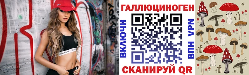 Псилоцибиновые грибы Psilocybine cubensis  Геленджик 